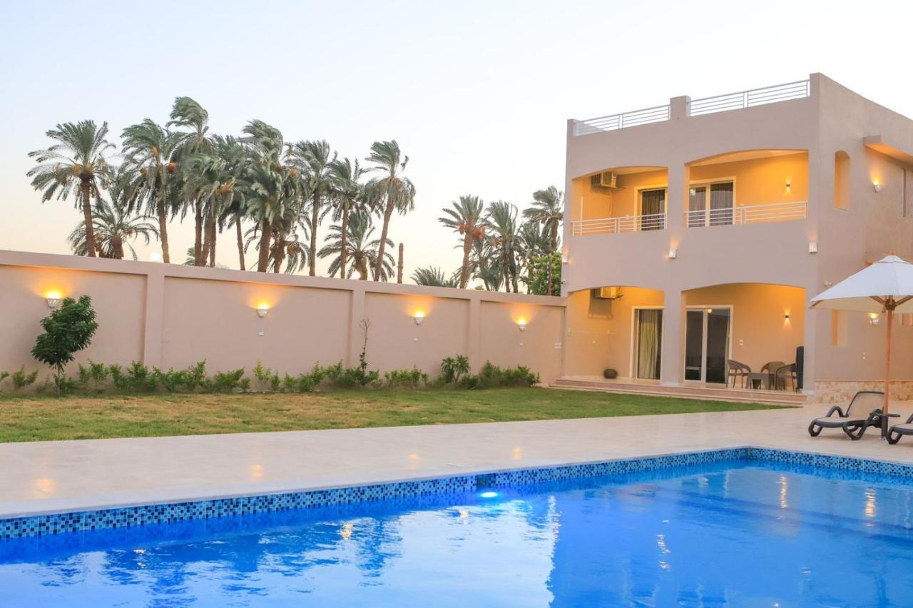 Royal Nile Villas - Pool View Apartment 2 Luksor Exterior foto